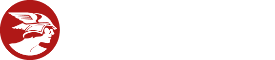 Les Echos Vidéo
